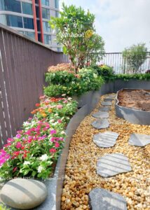 địa chỉ bán chậu composite uy tín