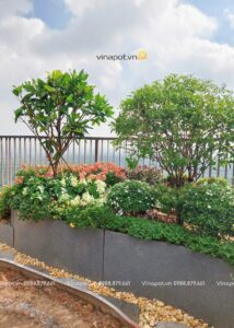 địa chỉ bán chậu composite uy tín