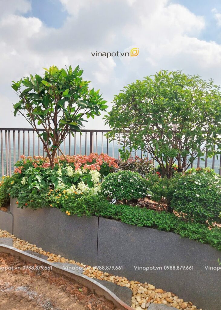 địa chỉ bán chậu composite uy tín