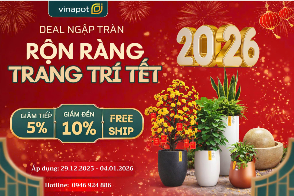 Chậu composite vinapot khuyến mãi tết dương lịch 2026