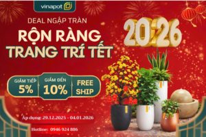 Chậu composite vinapot khuyến mãi tết dương lịch 2026