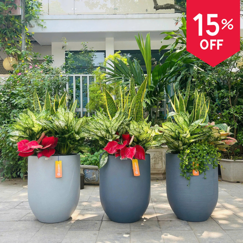 Chậu composite tự tưới Vinapot- IRIS