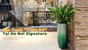 chậu composite vinapot