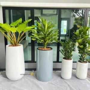 Chậu cây Vinapot đẹp, bền nhẹ và thẩm mỹ.