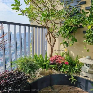 Chậu cây Vinpot trang trí không gian sống của nhà bạn