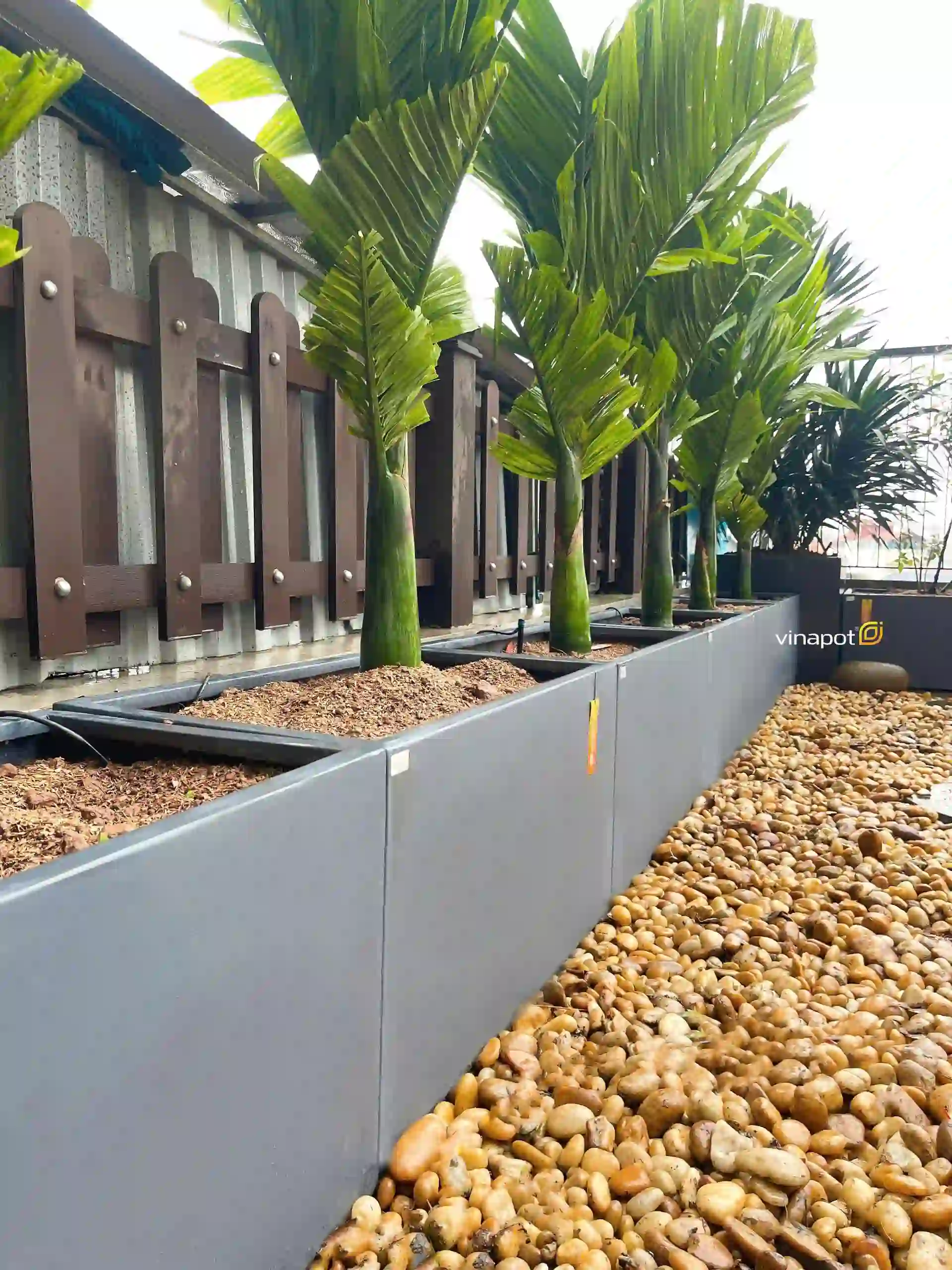 chau-cay-vinapot-dep Chậu cây Vinapot đẹp, bền nhẹ và thẩm mỹ.