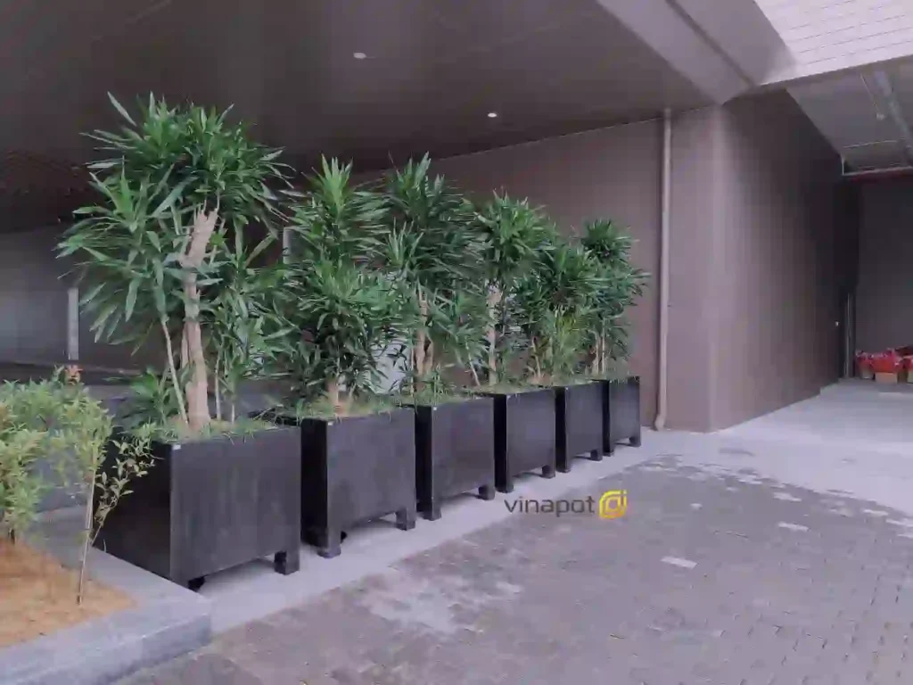 Chậu chữ nhật composite màu đen trang trí sảnh tòa nhà