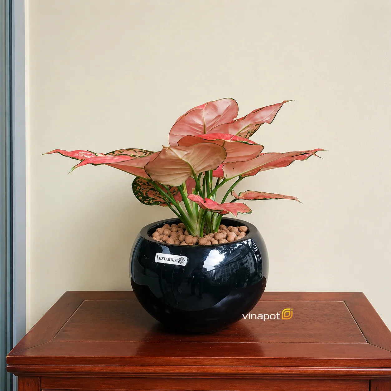 Chậu composite để bàn Vinapot Tokyo mini trồng sen đá cây để bàn làm việc