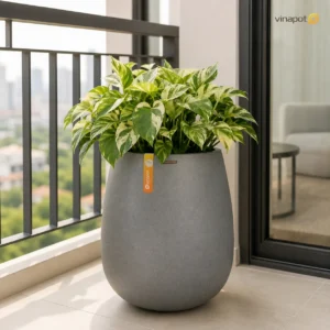 Chậu Composite Solana dáng tròn giọt nước mềm mại và sang trọng