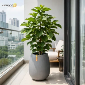 Chậu Composite Solana dáng tròn giọt nước mềm mại và sang trọng