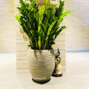 Chậu composite tự tưới Vinapot ROS Timaru cao cấp, chống bám bẩn và tiết kiệm thời gian chăm sóc cây