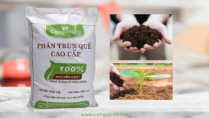 Phân trùn quế nguyên chất giàu dinh dưỡng, giúp cải tạo đất và bổ sung nguồn hữu cơ tự nhiên cho cây trồng, phù hợp sử dụng cho chậu cây, sân vườn và cây cảnh.