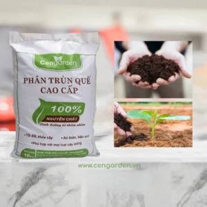 Dinh dưỡng trùn quế nguyên chất Cengarden